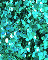 Paillettes - Polysirène_Si Si La Paillette_TrustSociety