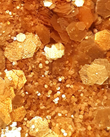 Paillettes - Queen du désert_Si Si La Paillette_TrustSociety