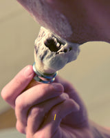 Coffret de rasage écologique_The Trust Society_The Trust Society