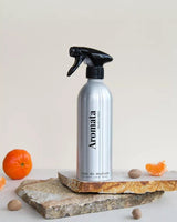 Nettoyant multi-usages rechargeable - dégraissant_Eau de maison_The Trust Society