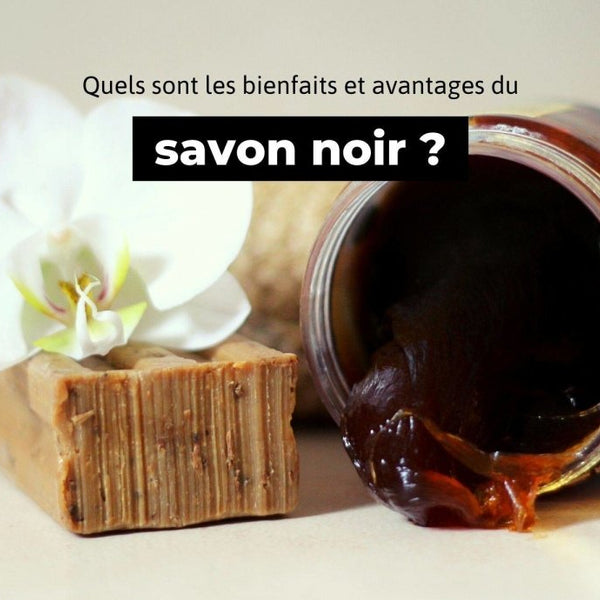 Le Savon Noir - Livre Pratique Pour L'Entretien Écologique De La Maison