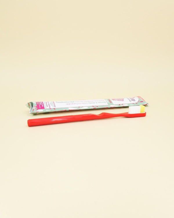 Brosse à dents écologique et sa recharge - Rouge - Poils medium_Lamazuna_The Trust Society